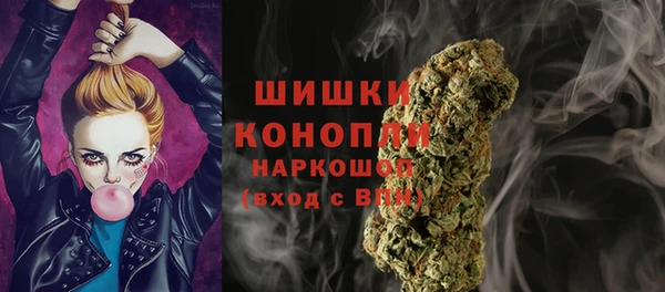 spice Верхний Тагил