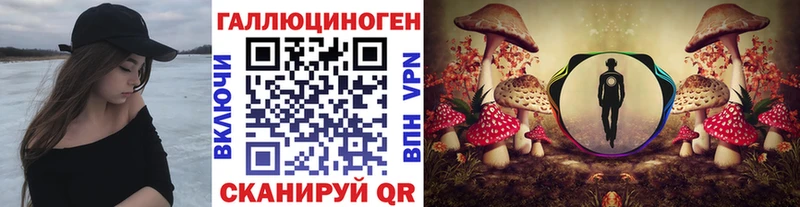 как найти   Каспийск  Псилоцибиновые грибы GOLDEN TEACHER 