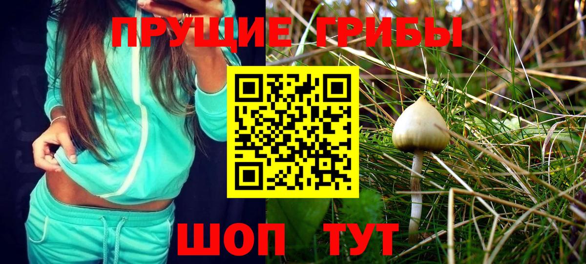 Псилоцибиновые грибы GOLDEN TEACHER Каспийск