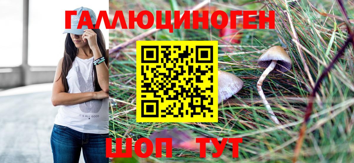 Галлюциногенные грибы прущие грибы  Вход с VPN  Каспийск 