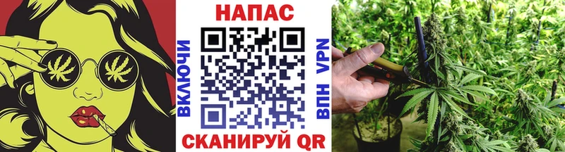 МАРИХУАНА SATIVA & INDICA Каспийск